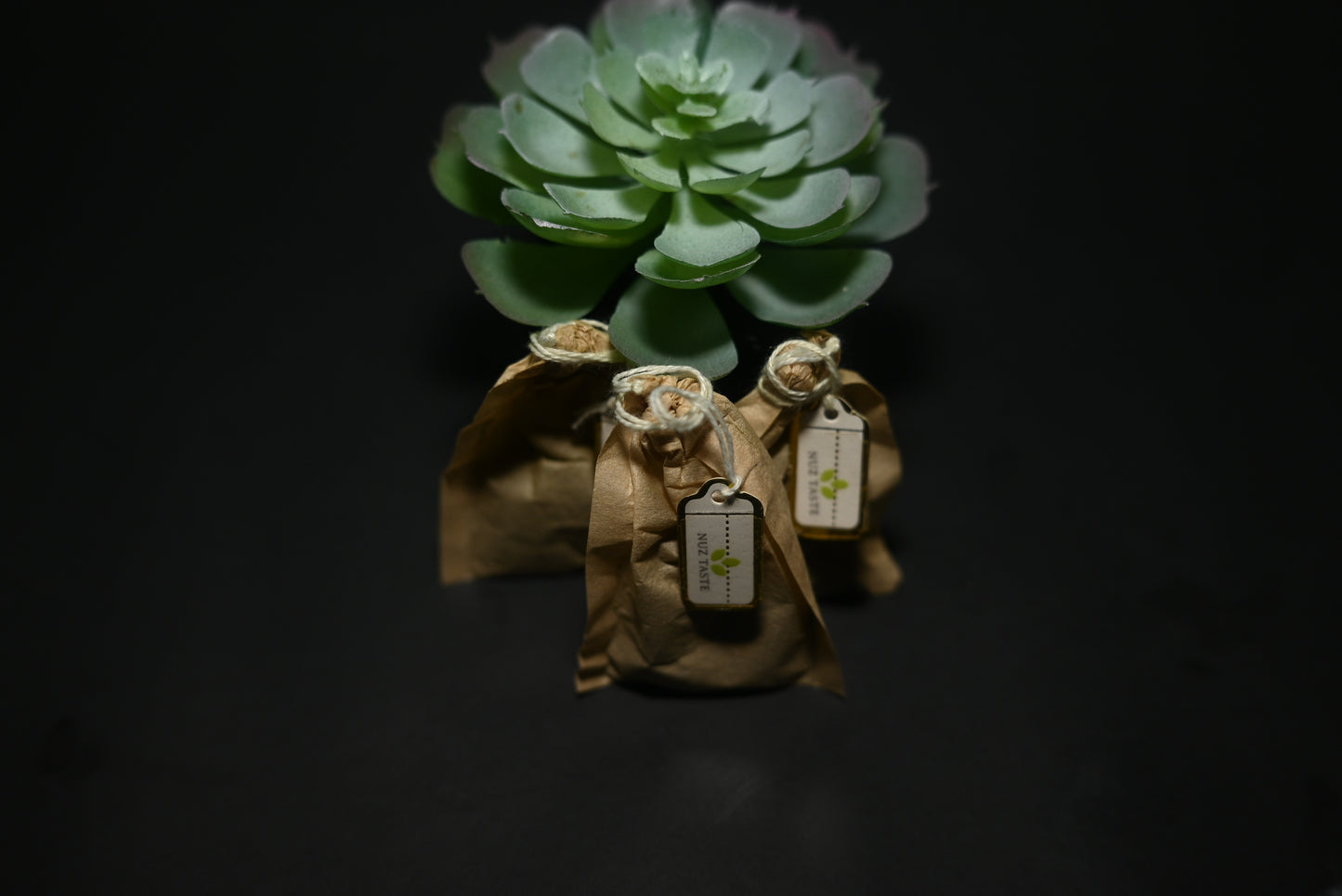 Soursop Tea Bags