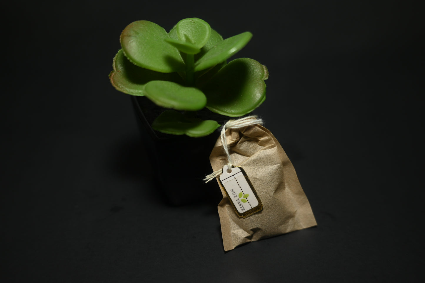 Moringa & Lemon Grass Tea Bags